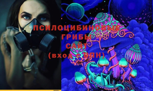 прущая мука Бородино