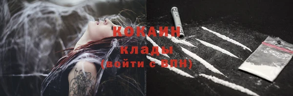 винт Бронницы